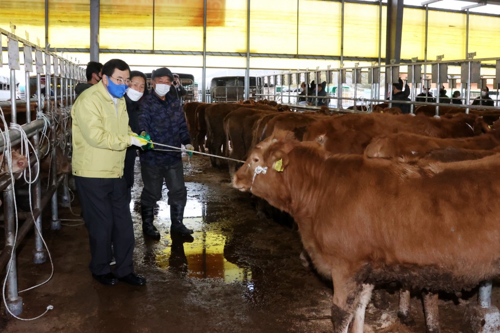 “축산농가 힘내세요”…주낙영 경주시장 신년맞이 가축시장 방문 (1)