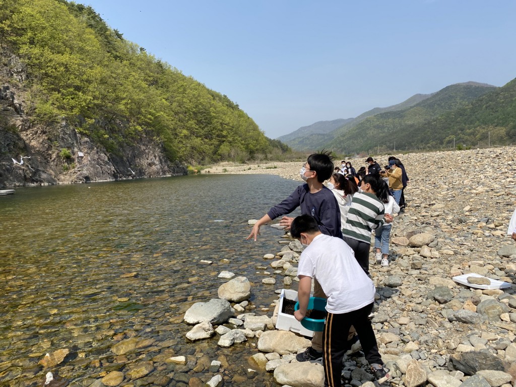 5. 경주시, 산내면 동창천에 어린 다슬기 40만 마리 방류 (2)