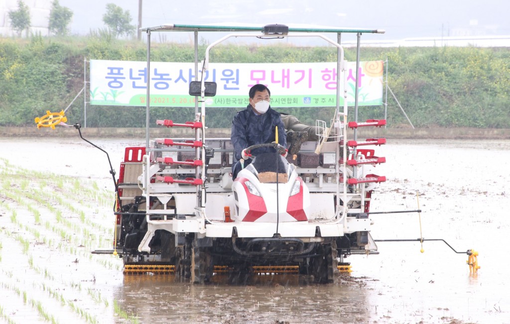 1. 주낙영 경주시장, 드문모심기(소식 재배) 모내기 행사 참여 풍년농사 기원 (3)