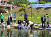 2. 경주시, 감포읍 대본항에서 문치가자미 치어 15만 마리 방류