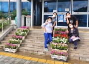 5. 북경주행정복지센터, 연분홍 여름 꽃으로 물들다 (2)