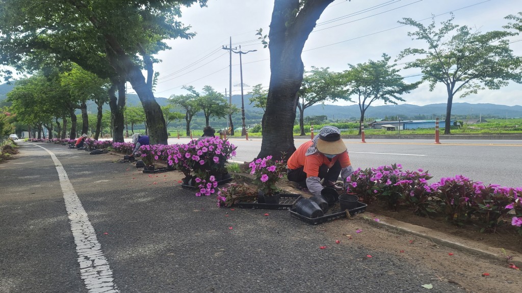 5. 경주시, 주요 교량·도로변에 화려한 여름꽃으로 채색