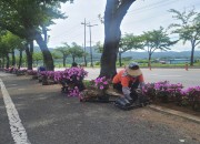 5. 경주시, 주요 교량·도로변에 화려한 여름꽃으로 채색