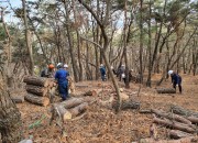 3. 경주시, 소나무재선충병 방제사업 본격 추진