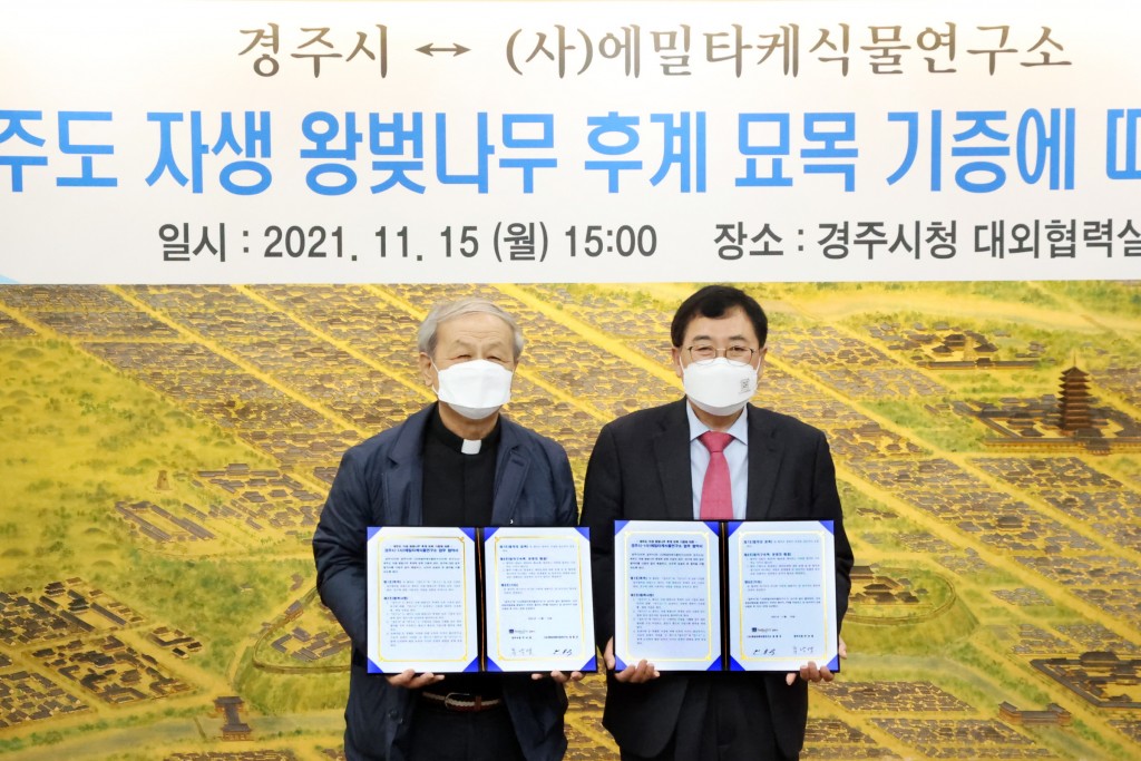 3-2. 경주시-(사)에밀타케식물연구소, 제주도 자생 왕벚나무 묘목 기증 협약 체결 (2)