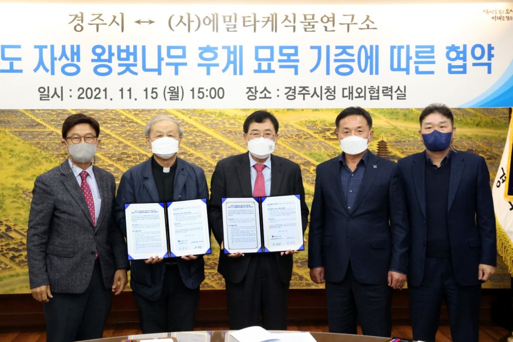 3-3. 경주시-(사)에밀타케식물연구소, 제주도 자생 왕벚나무 묘목 기증 협약 체결 (3)