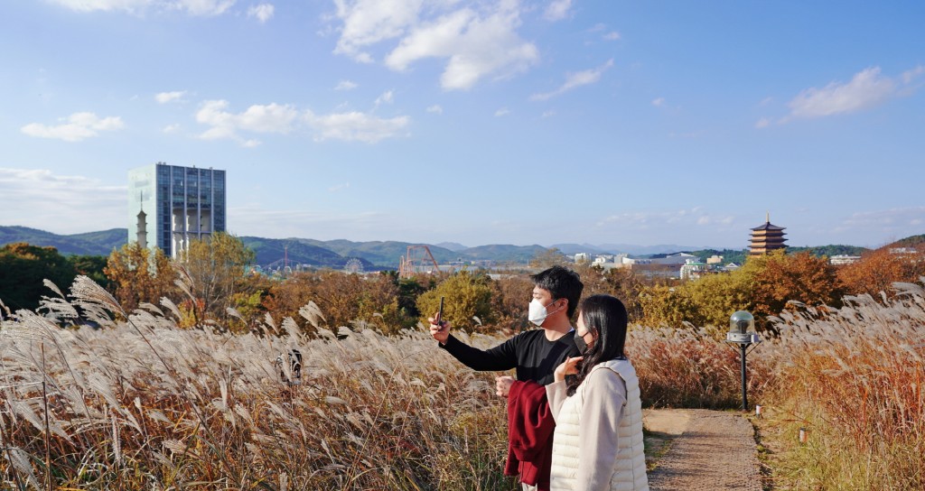 경주엑스포대공원 화랑 숲 내에 자리한 억새풀밭에서 관람객들이 사진을 찍고 있다.-1