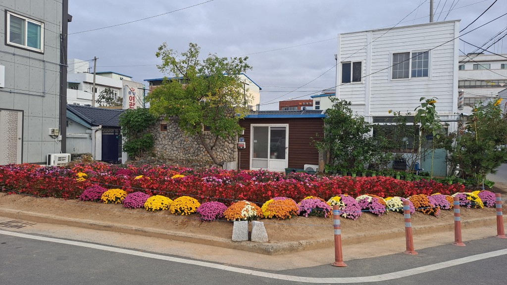 1. 안강 주민들과 함께하는 마을정원 조성