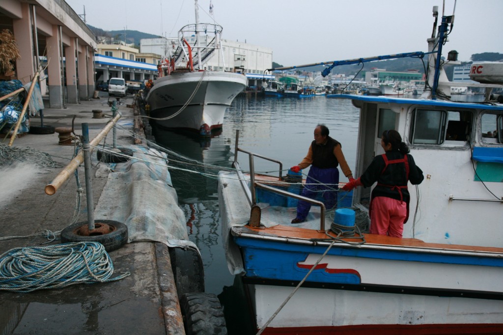 2. 경주시, 면세유 인상액 지원으로 어업인 숨통 틔운다