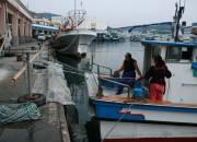 2. 경주시, 면세유 인상액 지원으로 어업인 숨통 틔운다