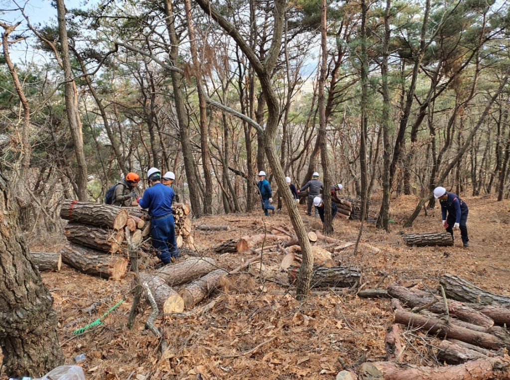 3. 소나무재선충병 예방 특별단속 실시