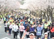 보도자료 2_4년 만에 새봄 새로운 시작 2023 경주 벚꽃마라톤대회 4월 1일 개최