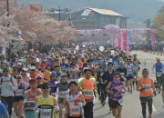 1. 4년 만에 시작 경주벚꽃마라톤대회 참가 열기 뜨겁다