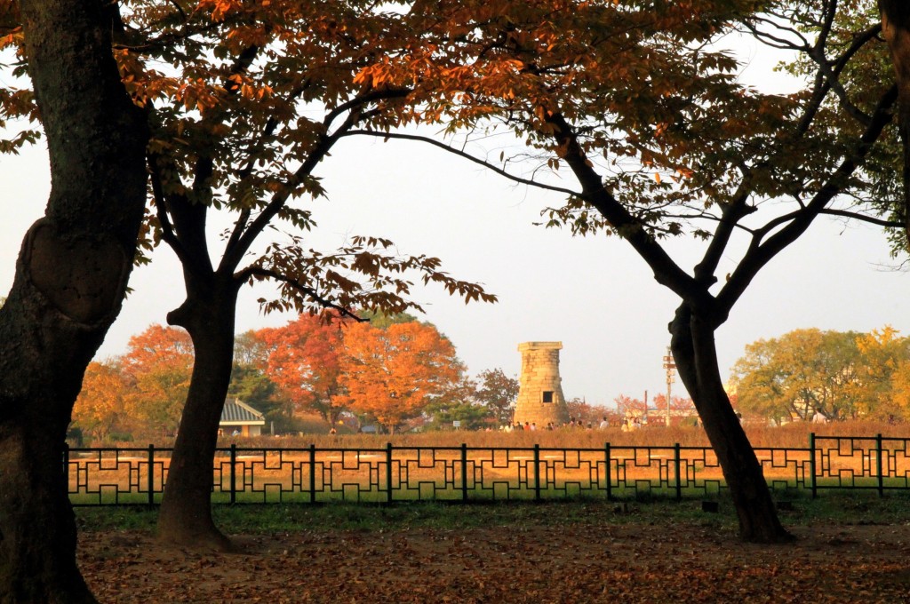 3-2. 가을 첨성대