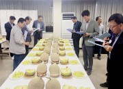 경주시멜론